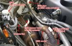 egr-in-engine-bay.jpg