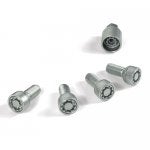 500x500_acc_lockingwheelbolts.jpg
